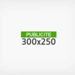 banner-300×250