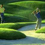 golf_golf
