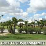 golf-citrus