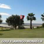 golf-flamengo