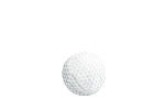 logo-ftg