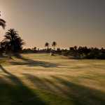 TN-Djerba-Golf-Club-1-1540×1027