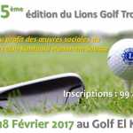 affiche lions