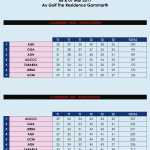 classement coupe de tunisie 2017